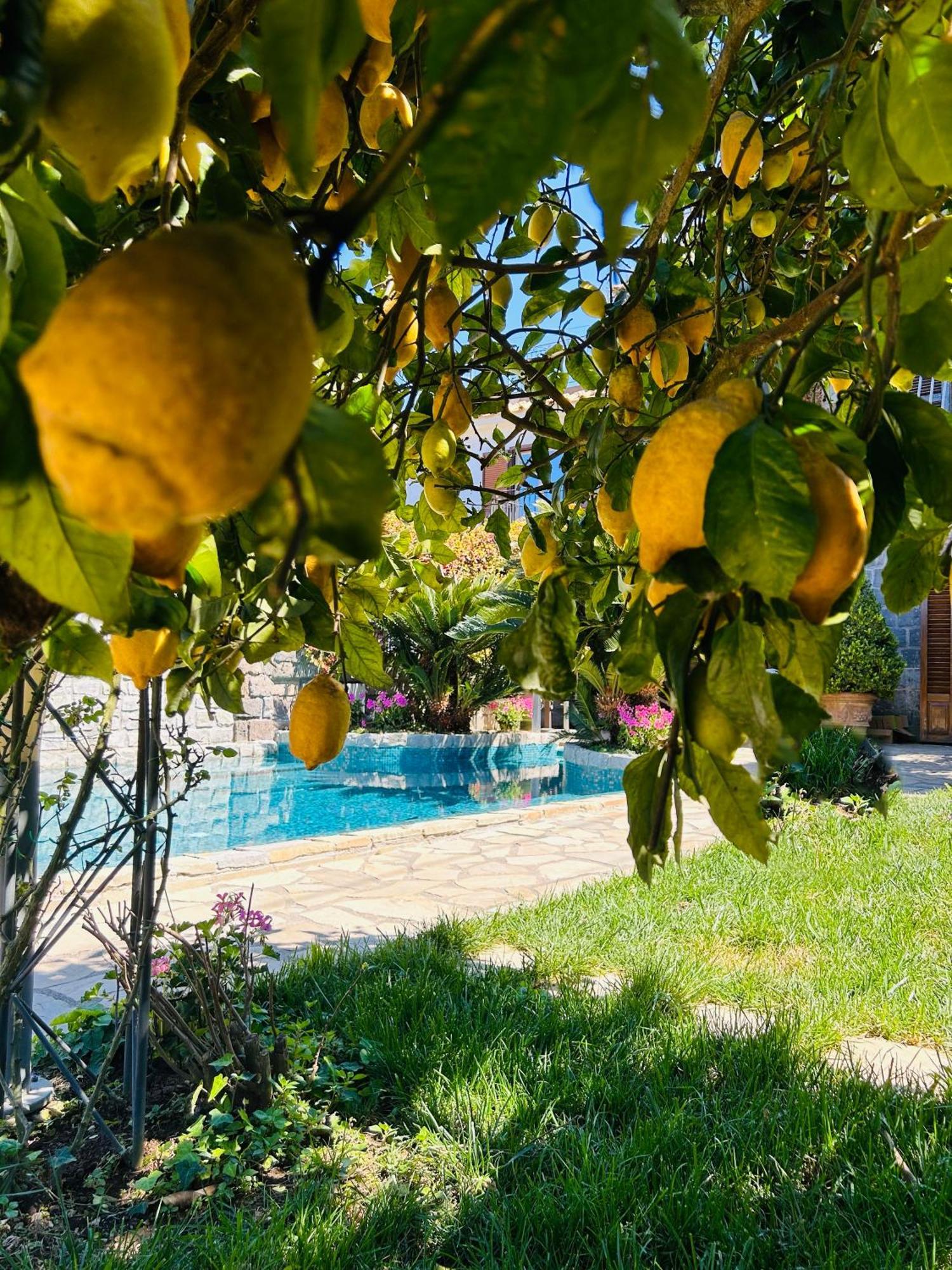 Maison Villa Angela SantʼAgata sui Due Golfi Kültér fotó