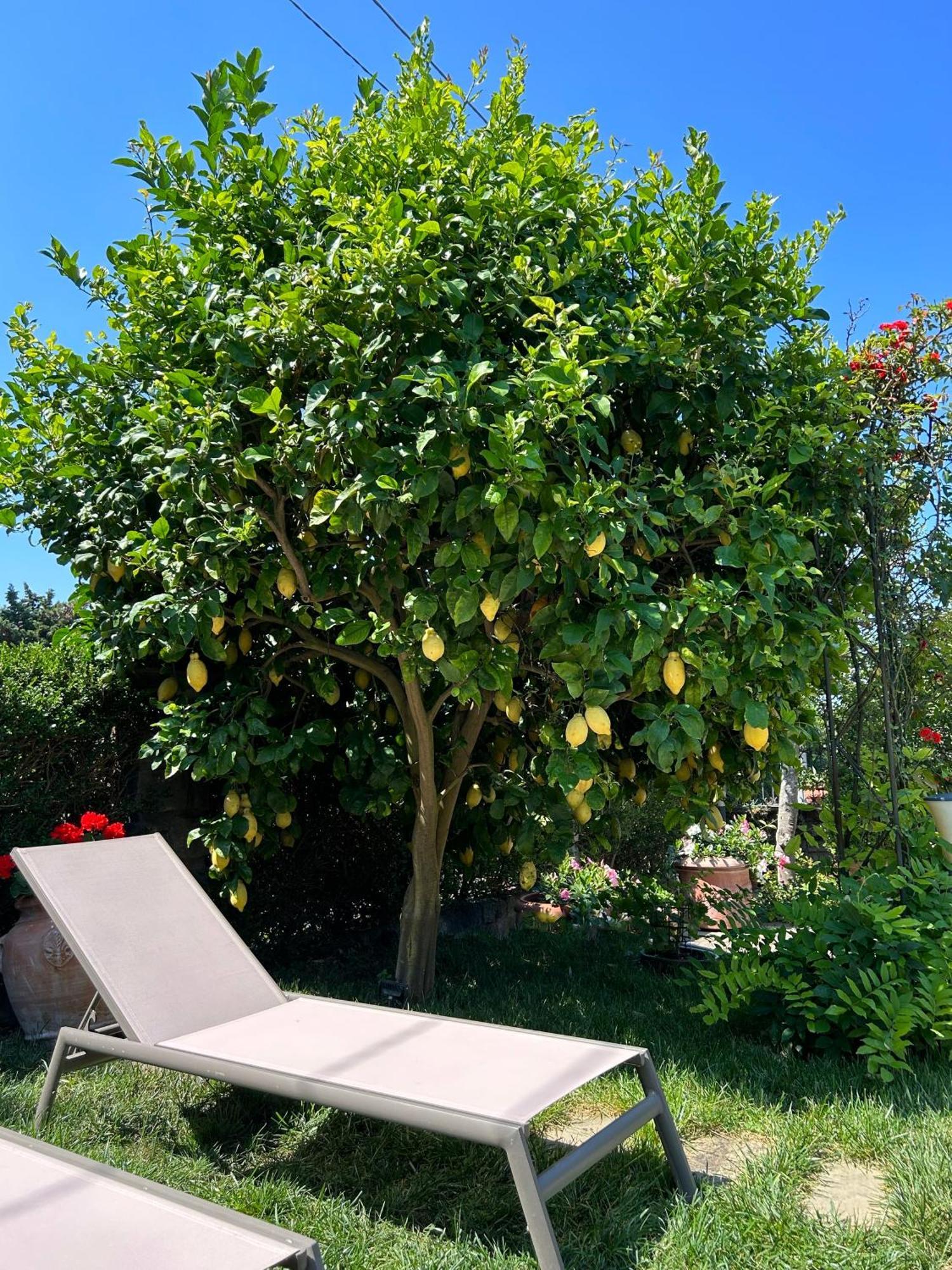 Maison Villa Angela SantʼAgata sui Due Golfi Kültér fotó